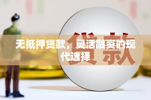 阿拉善左旗无抵押贷款，灵活融资的现代选择