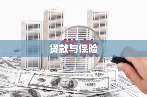 阿拉善左旗贷款与保险