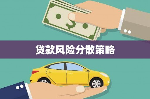 阿拉善左旗贷款风险分散策略