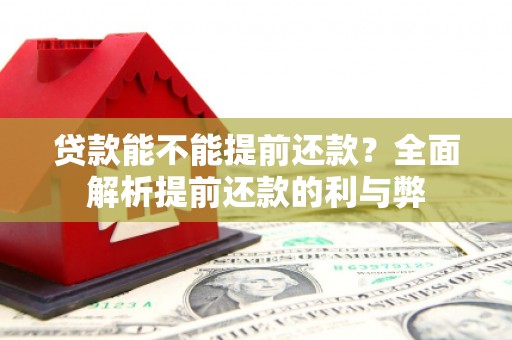 阿拉善左旗贷款能不能提前还款？全面解析提前还款的利与弊