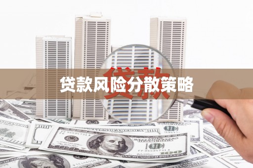 阿拉善左旗贷款风险分散策略