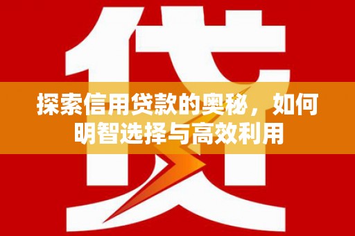 阿拉善左旗探索信用贷款的奥秘，如何明智选择与高效利用