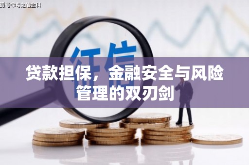 阿拉善左旗贷款担保，金融安全与风险管理的双刃剑