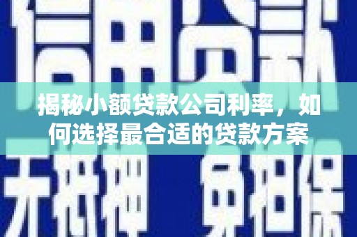 阿拉善左旗揭秘小额贷款公司利率，如何选择最合适的贷款方案
