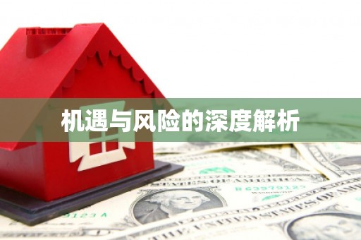 阿拉善左旗机遇与风险的深度解析
