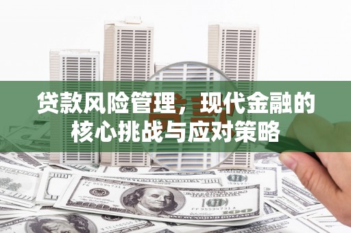 阿拉善左旗贷款风险管理，现代金融的核心挑战与应对策略