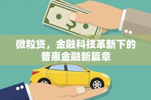 阿拉善左旗微粒贷，金融科技革新下的普惠金融新篇章