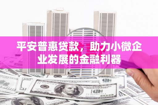 阿拉善左旗平安普惠贷款，助力小微企业发展的金融利器