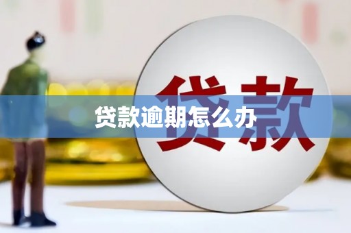 阿拉善左旗贷款逾期怎么办