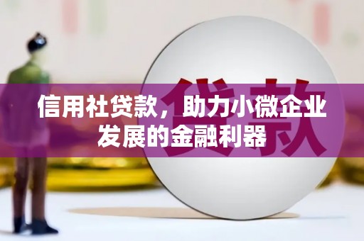 阿拉善左旗信用社贷款，助力小微企业发展的金融利器