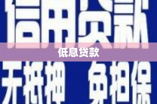 阿拉善左旗低息贷款