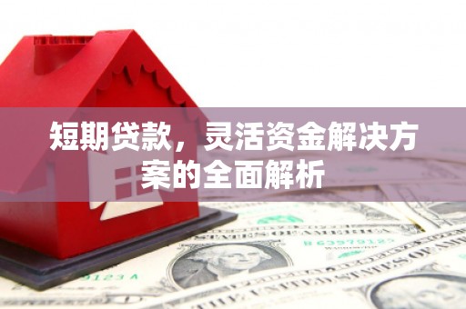 阿拉善左旗短期贷款，灵活资金解决方案的全面解析