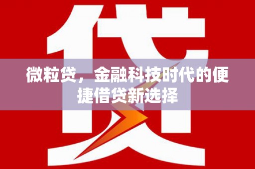 阿拉善左旗微粒贷，金融科技时代的便捷借贷新选择