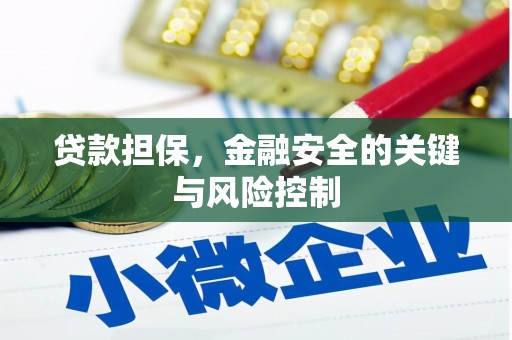 阿拉善左旗贷款担保，金融安全的关键与风险控制