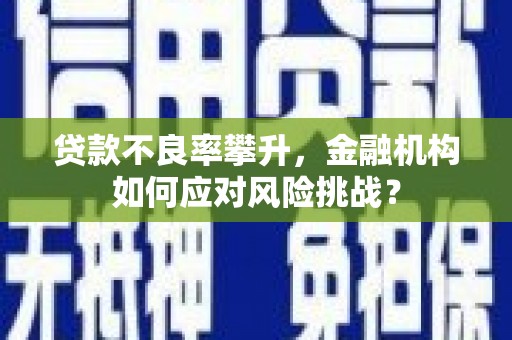 阿拉善左旗贷款不良率攀升，金融机构如何应对风险挑战？