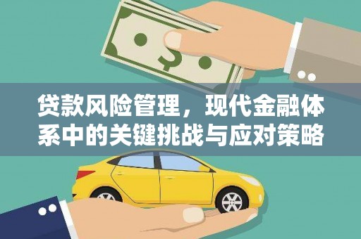 阿拉善左旗贷款风险管理，现代金融体系中的关键挑战与应对策略