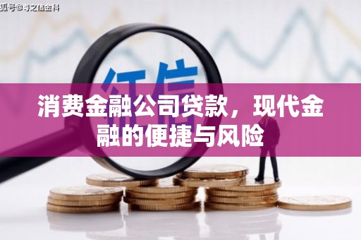 阿拉善左旗消费金融公司贷款，现代金融的便捷与风险