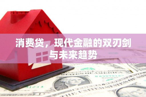 阿拉善左旗消费贷，现代金融的双刃剑与未来趋势