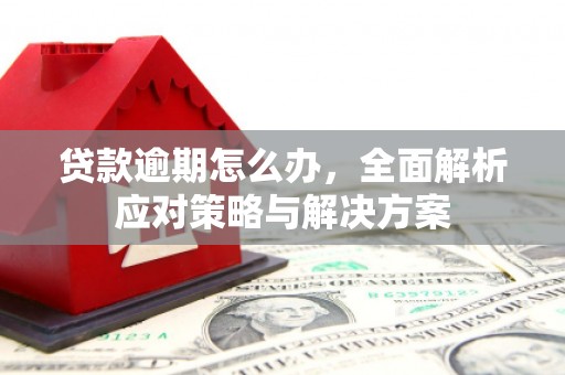 阿拉善左旗贷款逾期怎么办，全面解析应对策略与解决方案