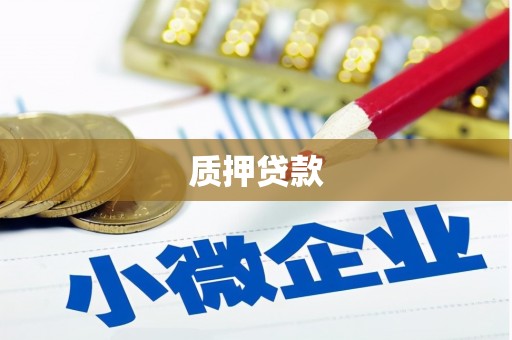 阿拉善左旗质押贷款