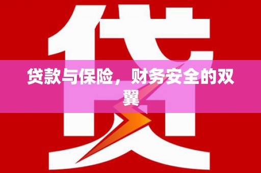 阿拉善左旗贷款与保险，财务安全的双翼