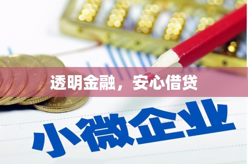 阿拉善左旗透明金融，安心借贷