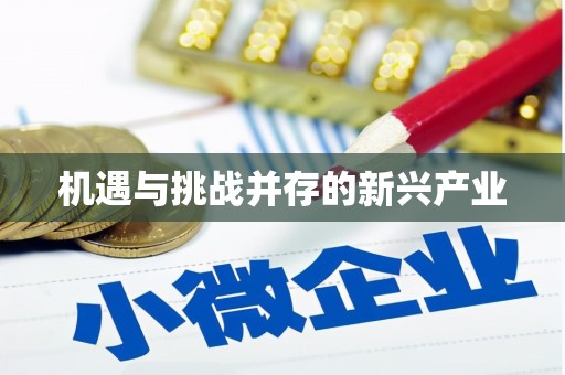 阿拉善左旗机遇与挑战并存的新兴产业