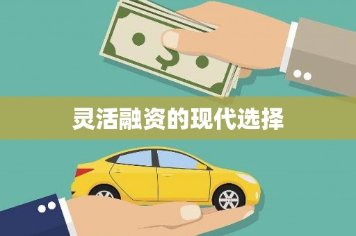 阿拉善左旗灵活融资的现代选择