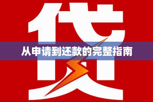 阿拉善左旗从申请到还款的完整指南