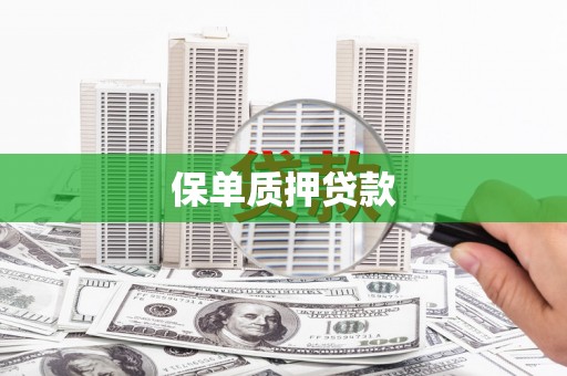 阿拉善左旗保单质押贷款