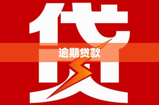 阿拉善左旗逾期贷款