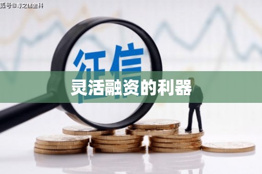 阿拉善左旗灵活融资的利器
