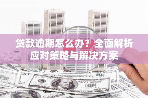 阿拉善左旗贷款逾期怎么办？全面解析应对策略与解决方案