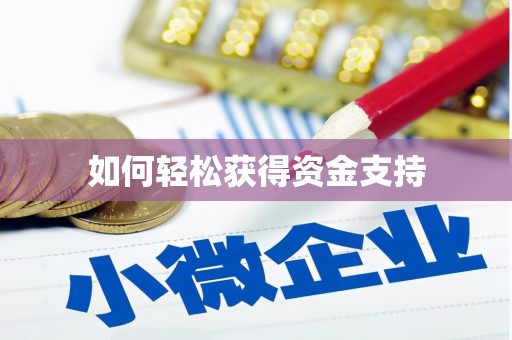 阿拉善左旗如何轻松获得资金支持