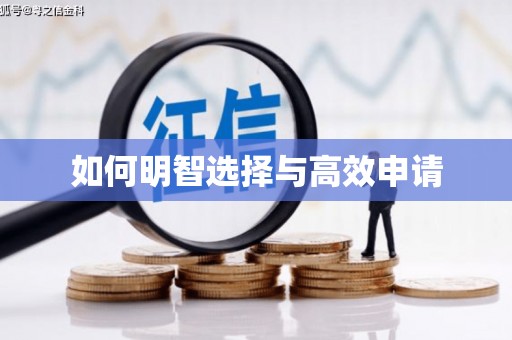 阿拉善左旗如何明智选择与高效申请