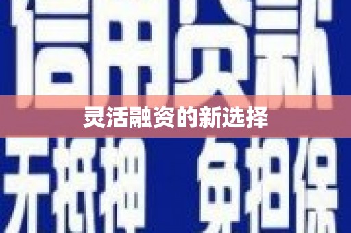 阿拉善左旗灵活融资的新选择
