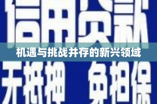 阿拉善左旗机遇与挑战并存的新兴领域