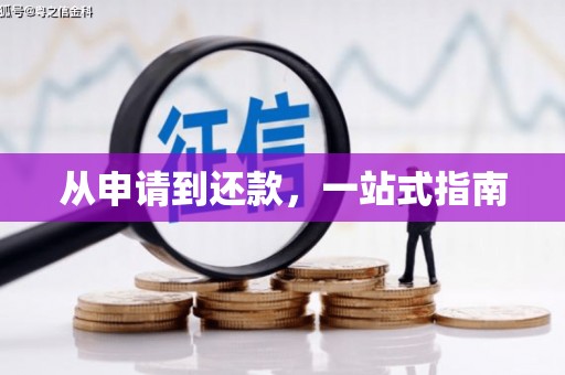阿拉善左旗从申请到还款，一站式指南