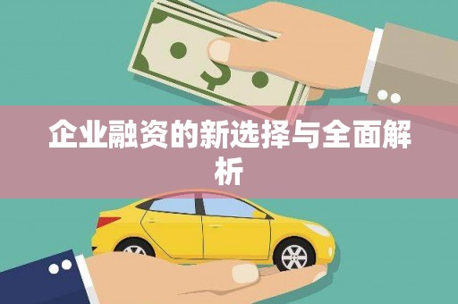 阿拉善左旗企业融资的新选择与全面解析