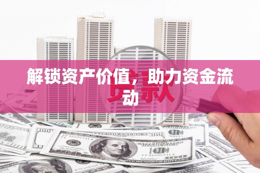 阿拉善左旗解锁资产价值，助力资金流动