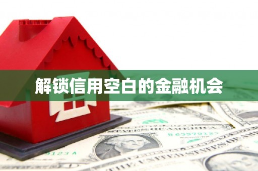 阿拉善左旗解锁信用空白的金融机会
