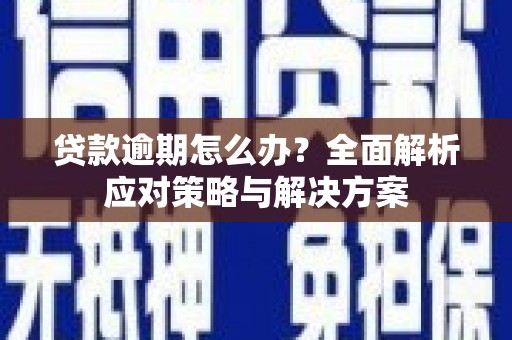 阿拉善左旗贷款逾期怎么办？全面解析应对策略与解决方案