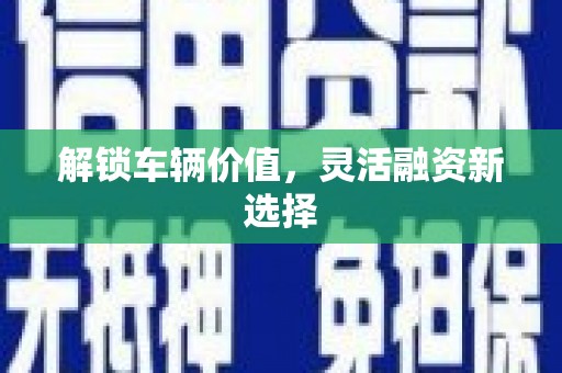 阿拉善左旗解锁车辆价值，灵活融资新选择