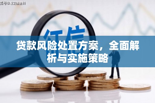 阿拉善左旗贷款风险处置方案，全面解析与实施策略