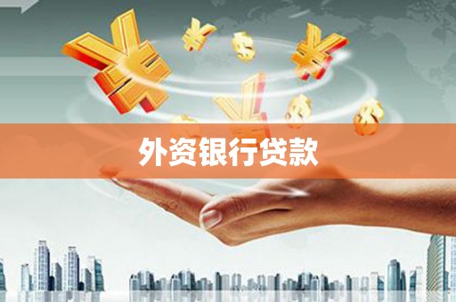 阿拉善左旗外资银行贷款