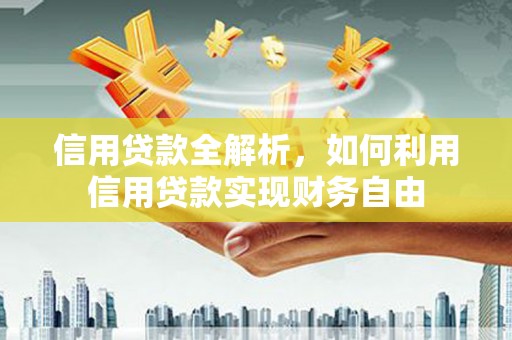 阿拉善左旗信用贷款全解析，如何利用信用贷款实现财务自由
