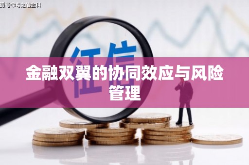 阿拉善左旗金融双翼的协同效应与风险管理