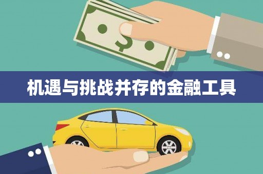 阿拉善左旗机遇与挑战并存的金融工具
