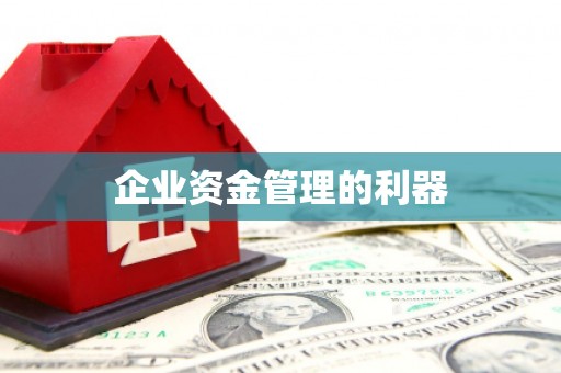 阿拉善左旗企业资金管理的利器