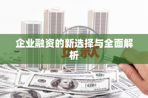 阿拉善左旗企业融资的新选择与全面解析